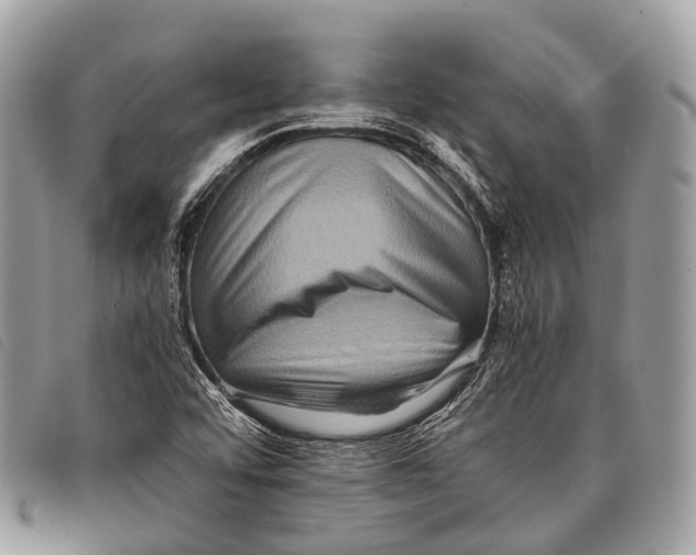X0000097841456200804111052