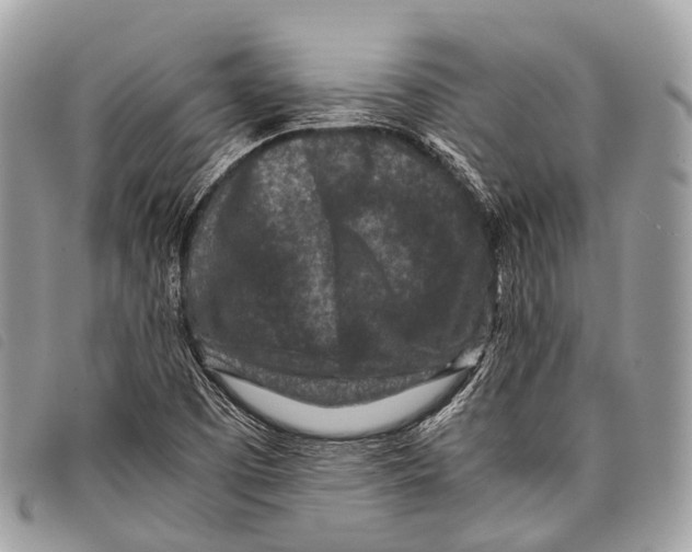X0000097841457200804111052