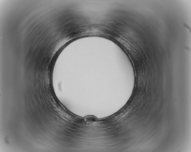 X0000097841458200804111052