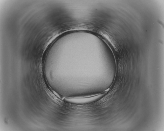 X0000097841460200804111052