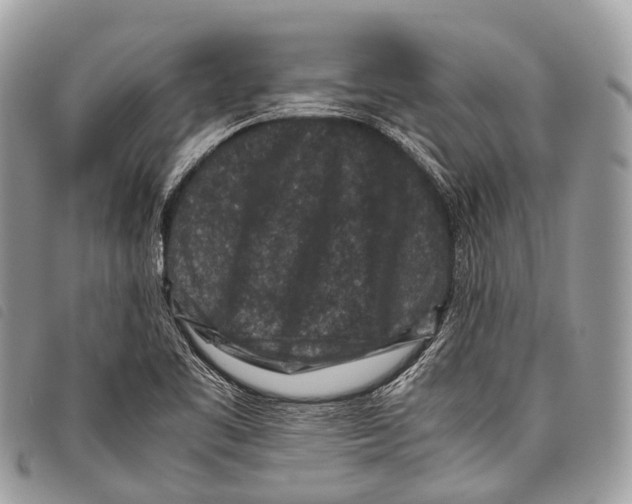 X0000097841461200804111052