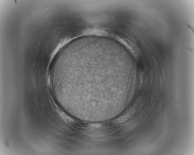 X0000097841462200804111052