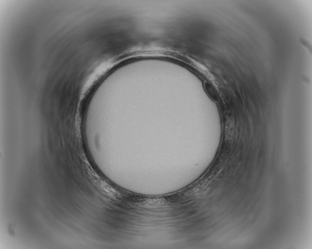 X0000097841464200804111052