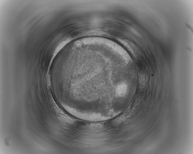 X0000097841466200804111052