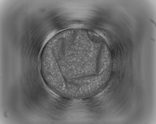 X0000097841467200804111052