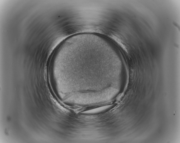 X0000097841468200804111052