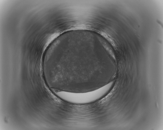 X0000097841469200804111052