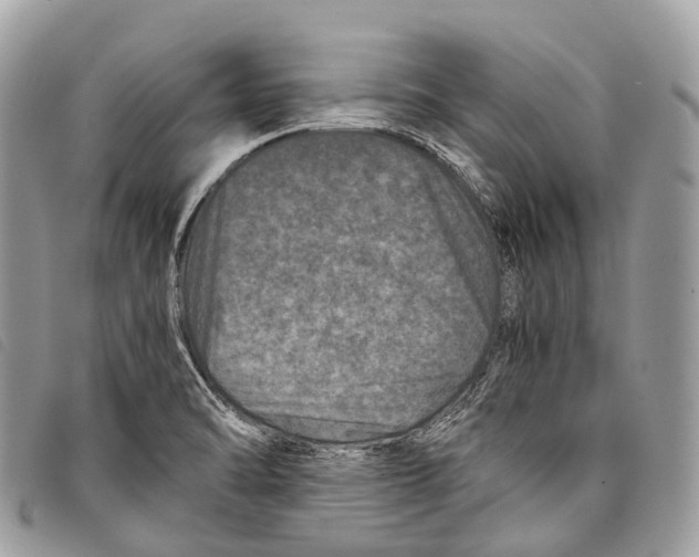 X0000097841470200804111052