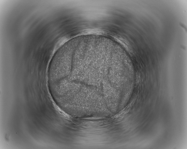 X0000097841471200804111052