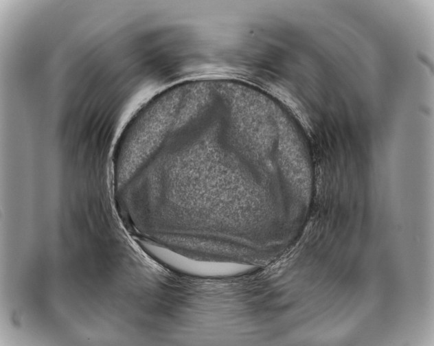 X0000097841472200804111052