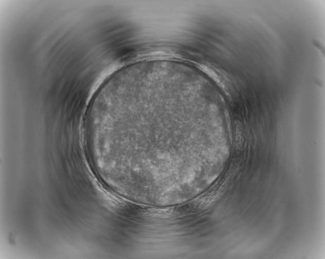 X0000097841474200804111051