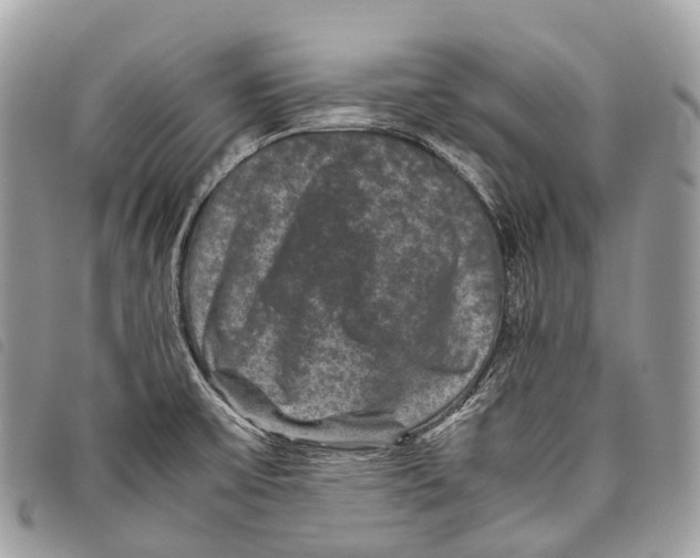 X0000097841475200804111051