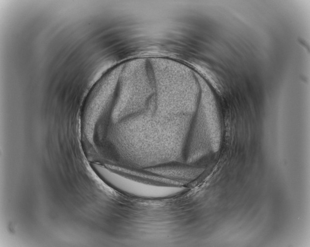 X0000097841476200804111051