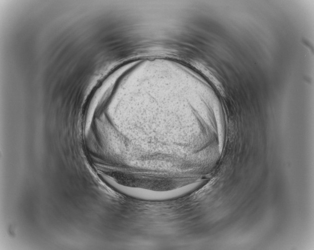 X0000097841477200804111051
