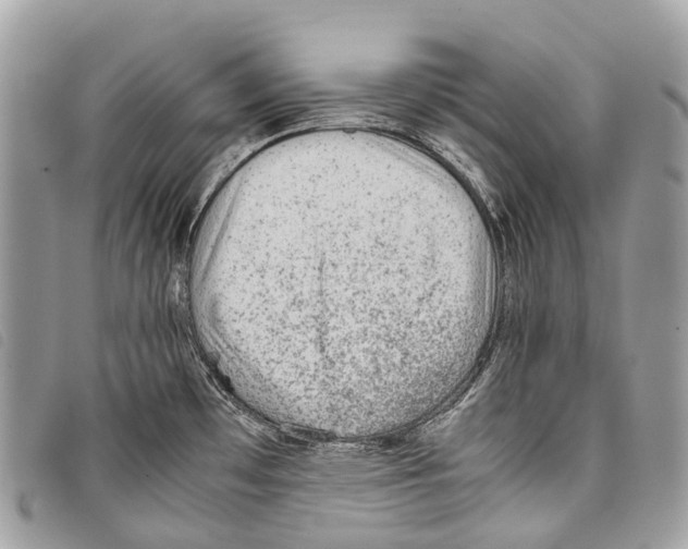 X0000097841481200804111051