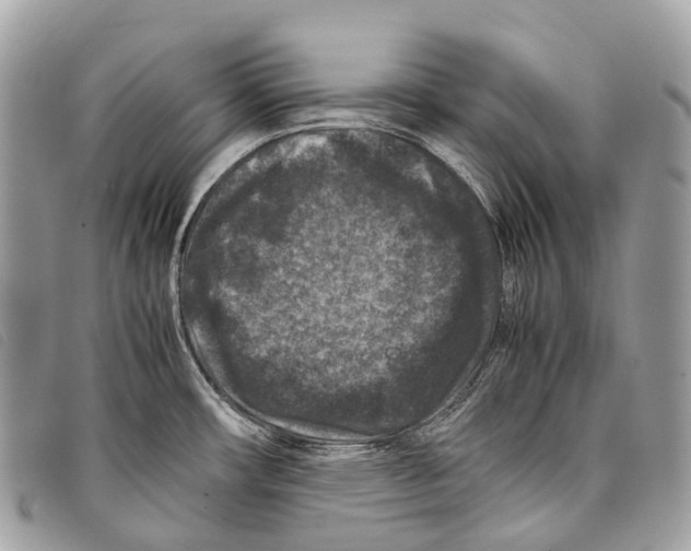 X0000097841482200804111051