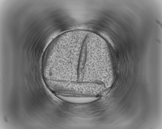 X0000097841483200804111051