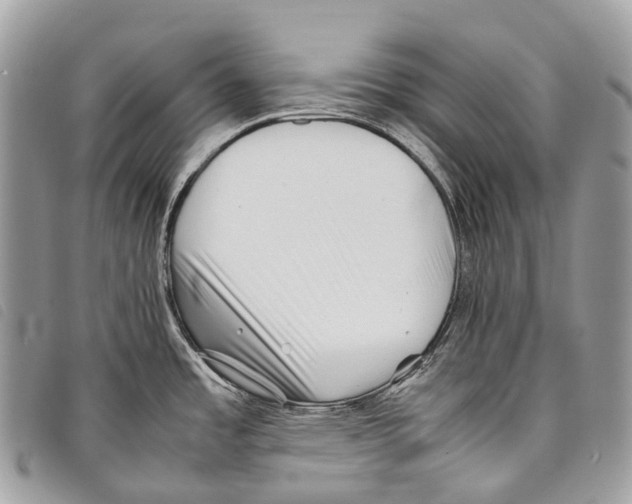X0000097841485200804111051