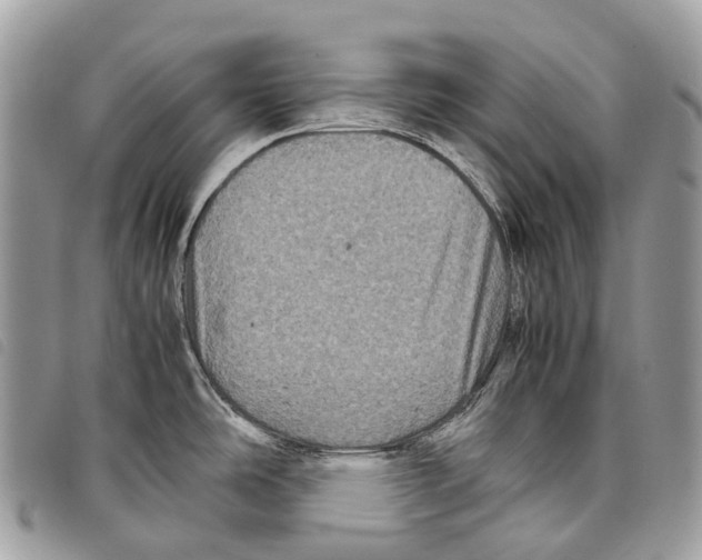 X0000097841486200804111051