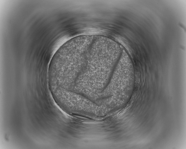 X0000097841487200804111051