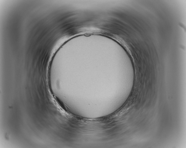 X0000097841488200804111051