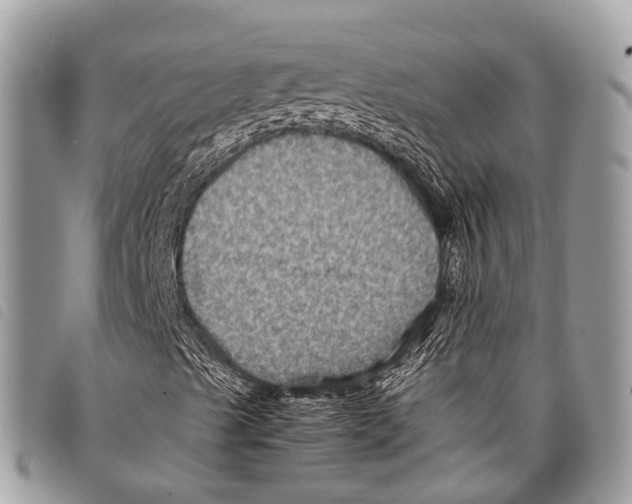 X0000097841489200804111050