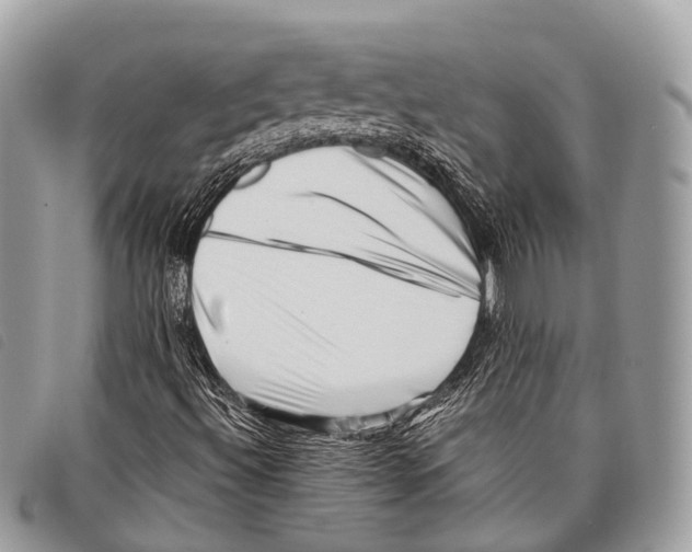 X0000097841492200804111050