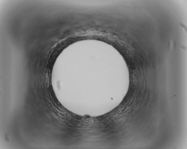 X0000097841493200804111051