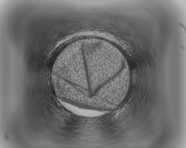 X0000097841494200804111051