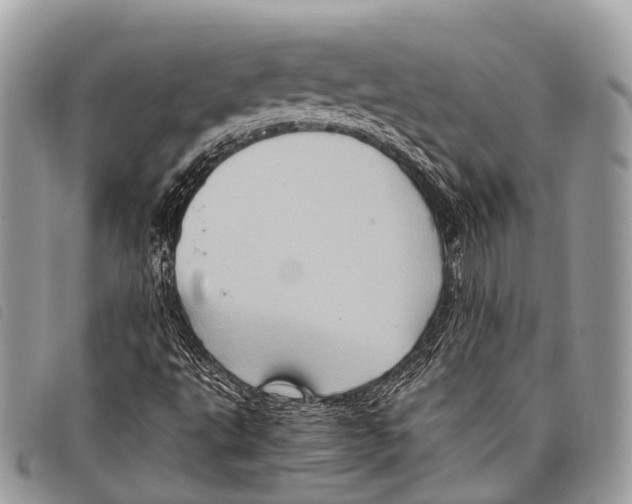 X0000097841495200804111051