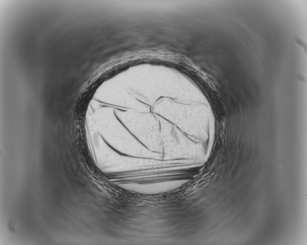 X0000097841496200804111051