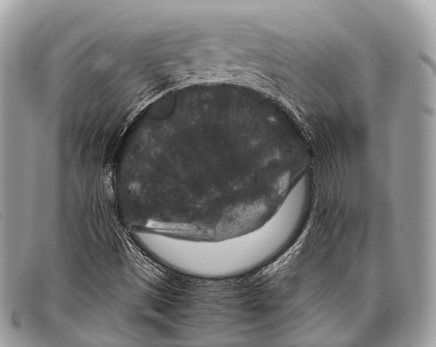 X0000097841497200804111051
