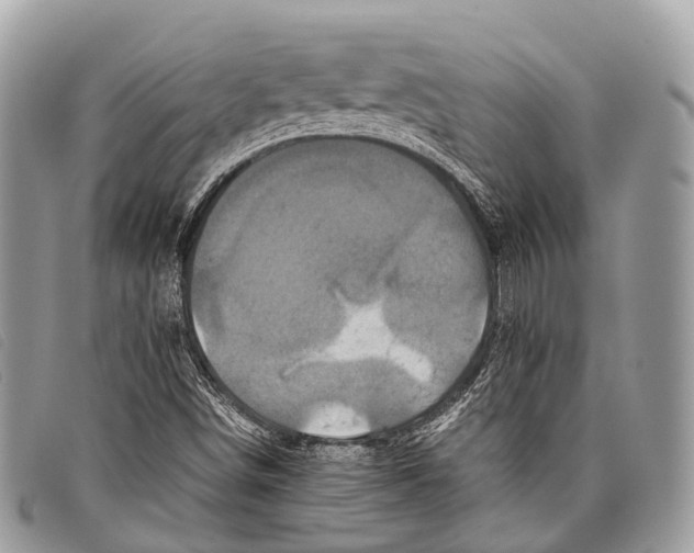 X0000097841498200804111051