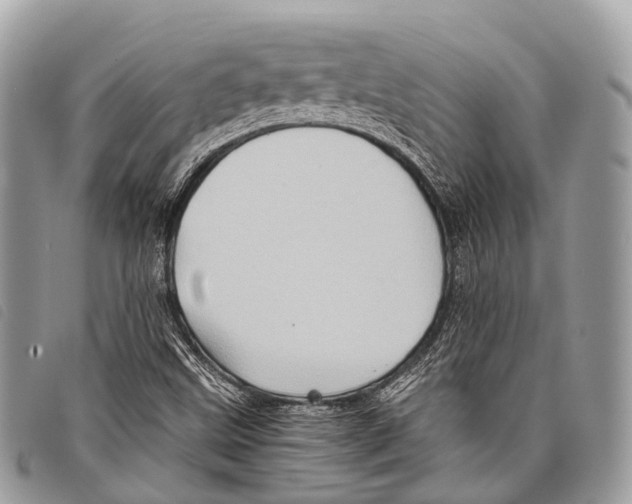 X0000097841499200804111051