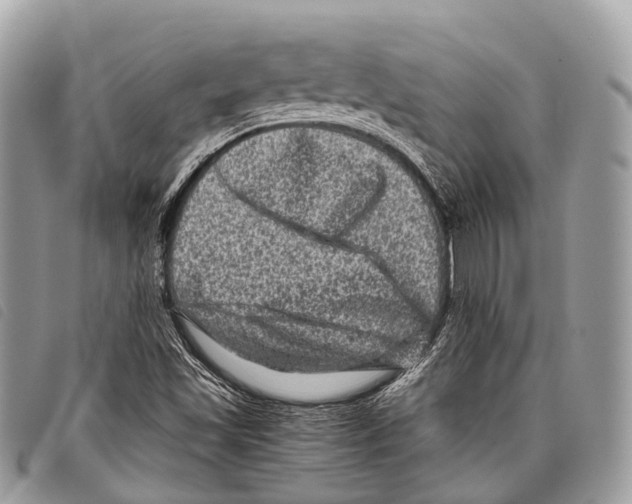 X0000097841501200804111051