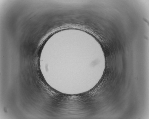 X0000097841502200804111051