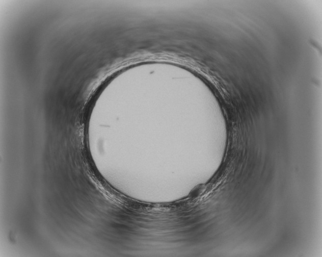 X0000097841503200804111051