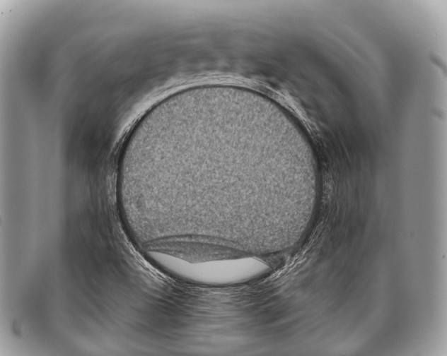 X0000097841504200804111051