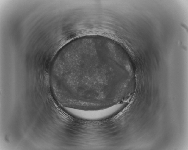X0000097841505200804111051