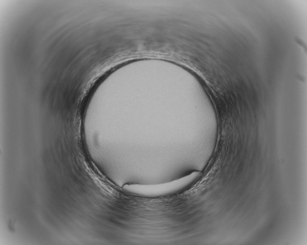 X0000097841507200804111051