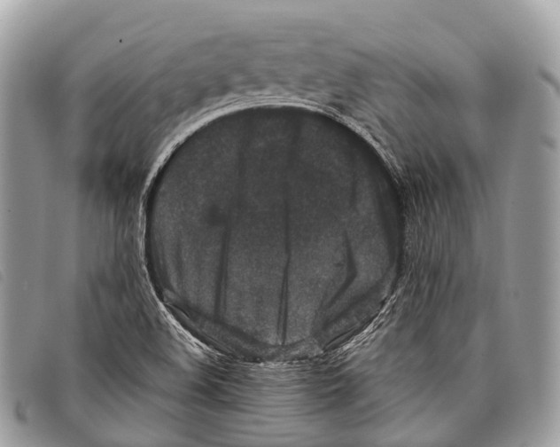 X0000097841508200804111051