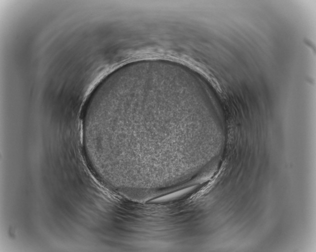 X0000097841509200804111051