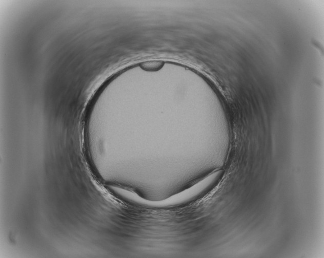 X0000097841511200804111051