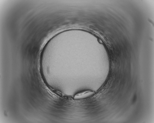 X0000097841512200804111051