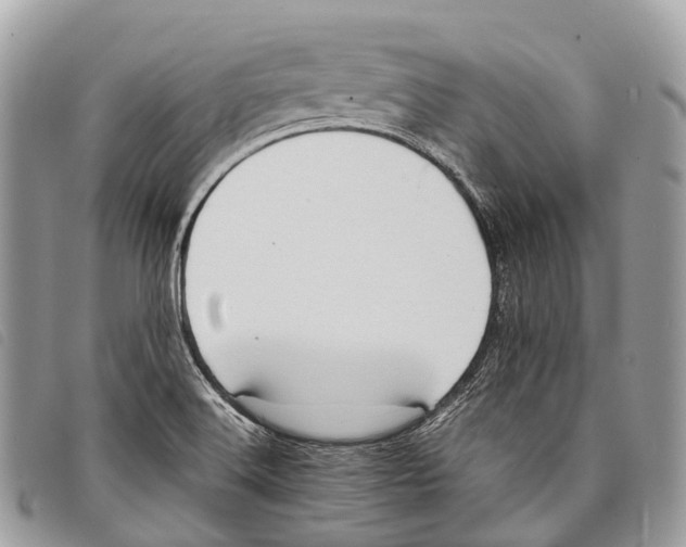 X0000097841516200804111051