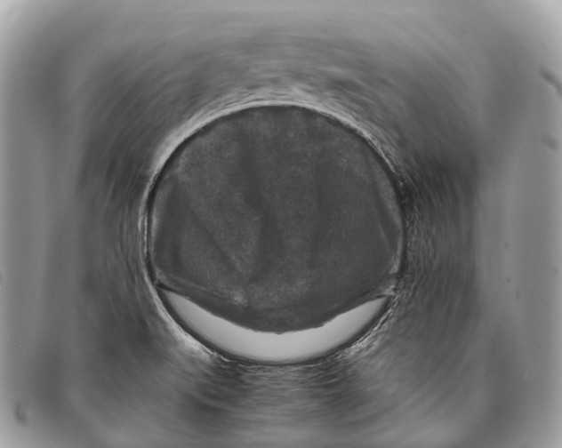 X0000097841519200804111051