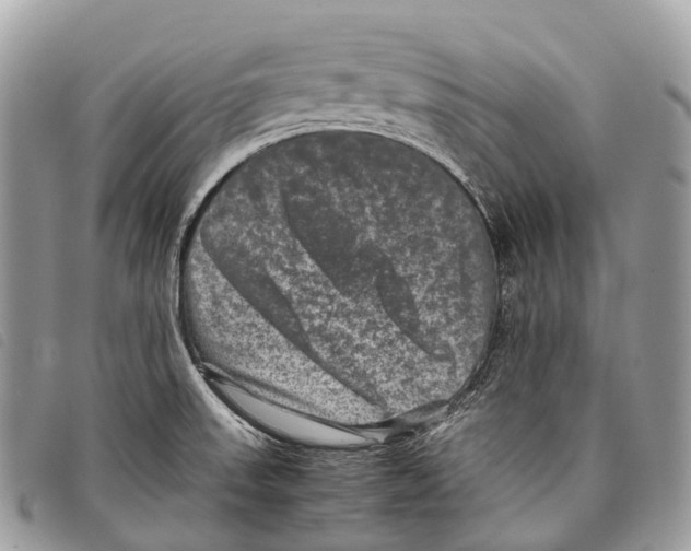 X0000097841523200804111051