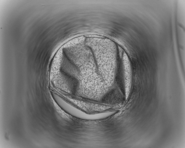 X0000097841524200804111051