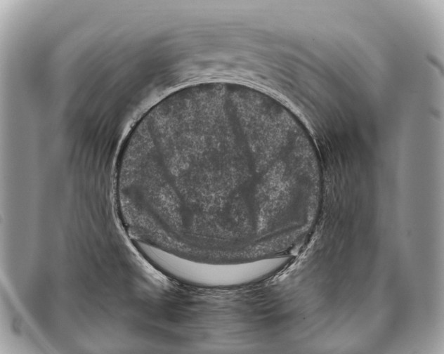 X0000097841525200804111051