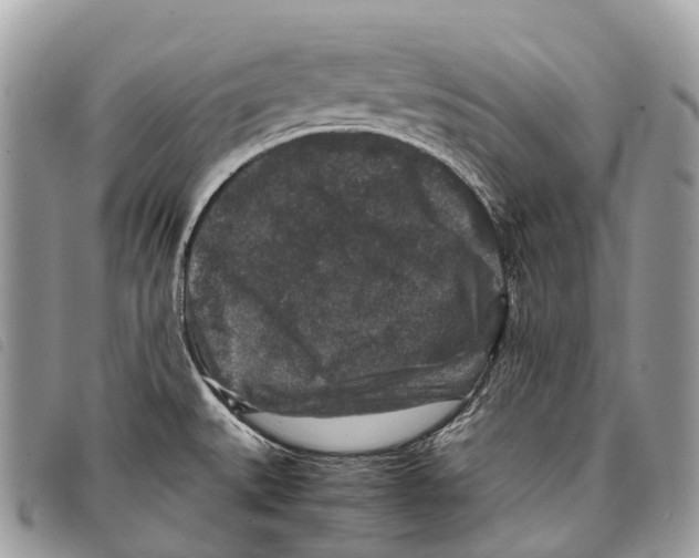 X0000097841527200804111051